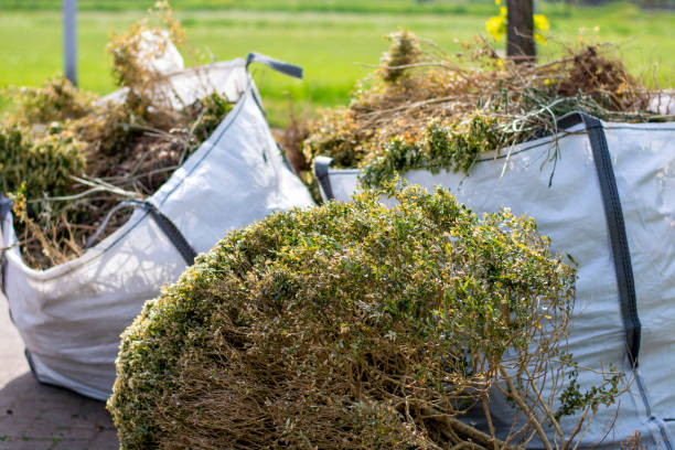 Best Dumpster Rental Services  in Kershaw, SC